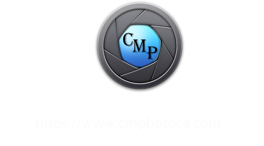 cmillsaps logo
